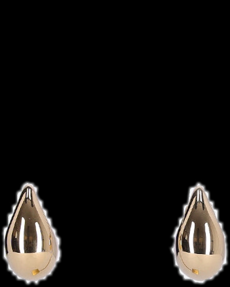 BG_REMOVED_CATALOG_Metal sculptural earrings - BOTTEGA VENETA