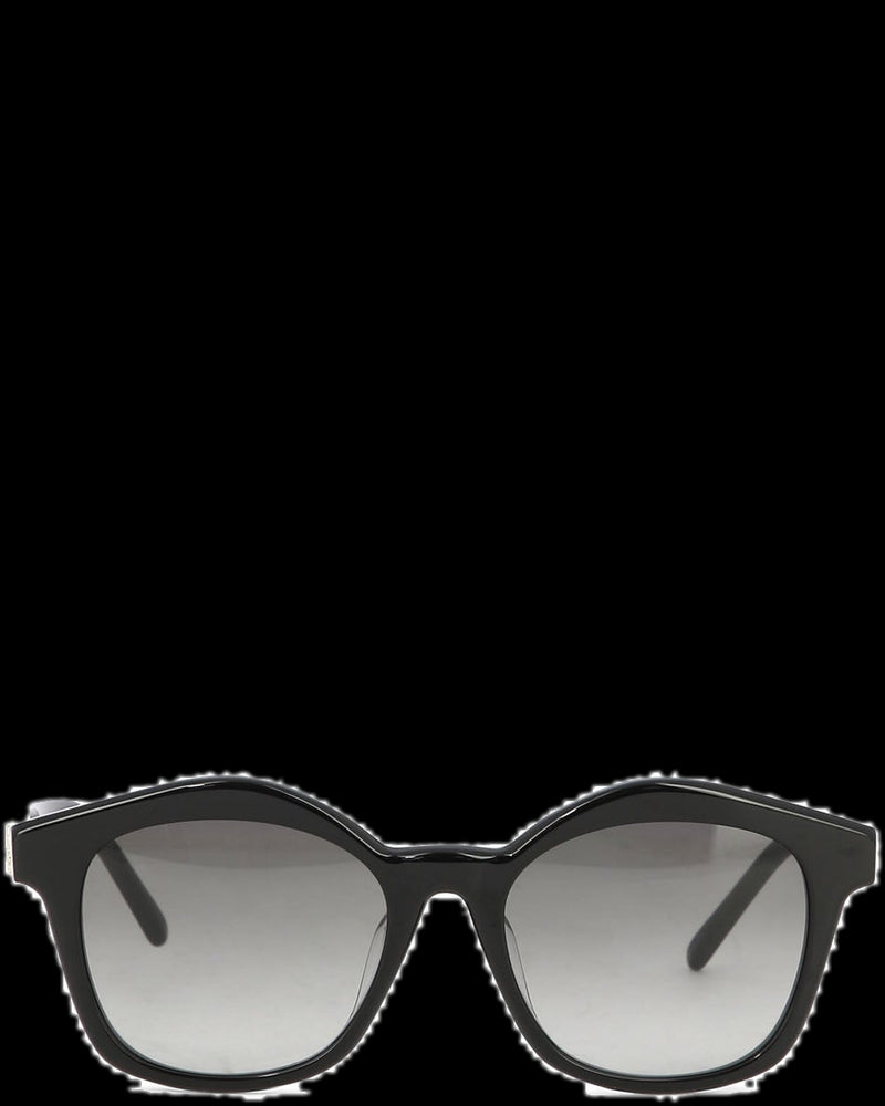 BG_REMOVED_CATALOG_Browline Sunglasses - LOEWE