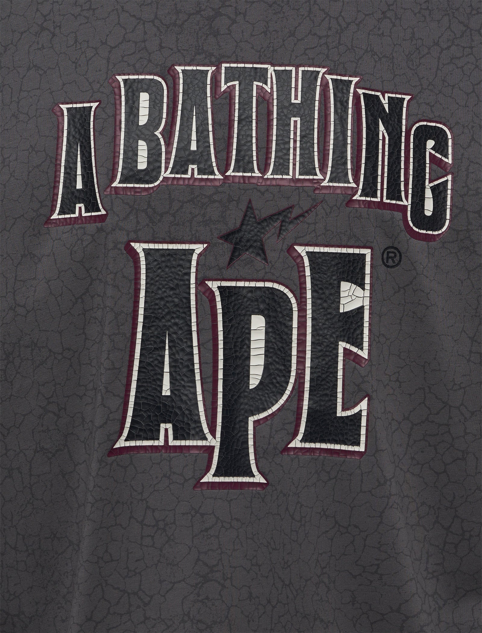 Оригінальна Crack Print Logo Tee A bathing ape – вид ззаду
