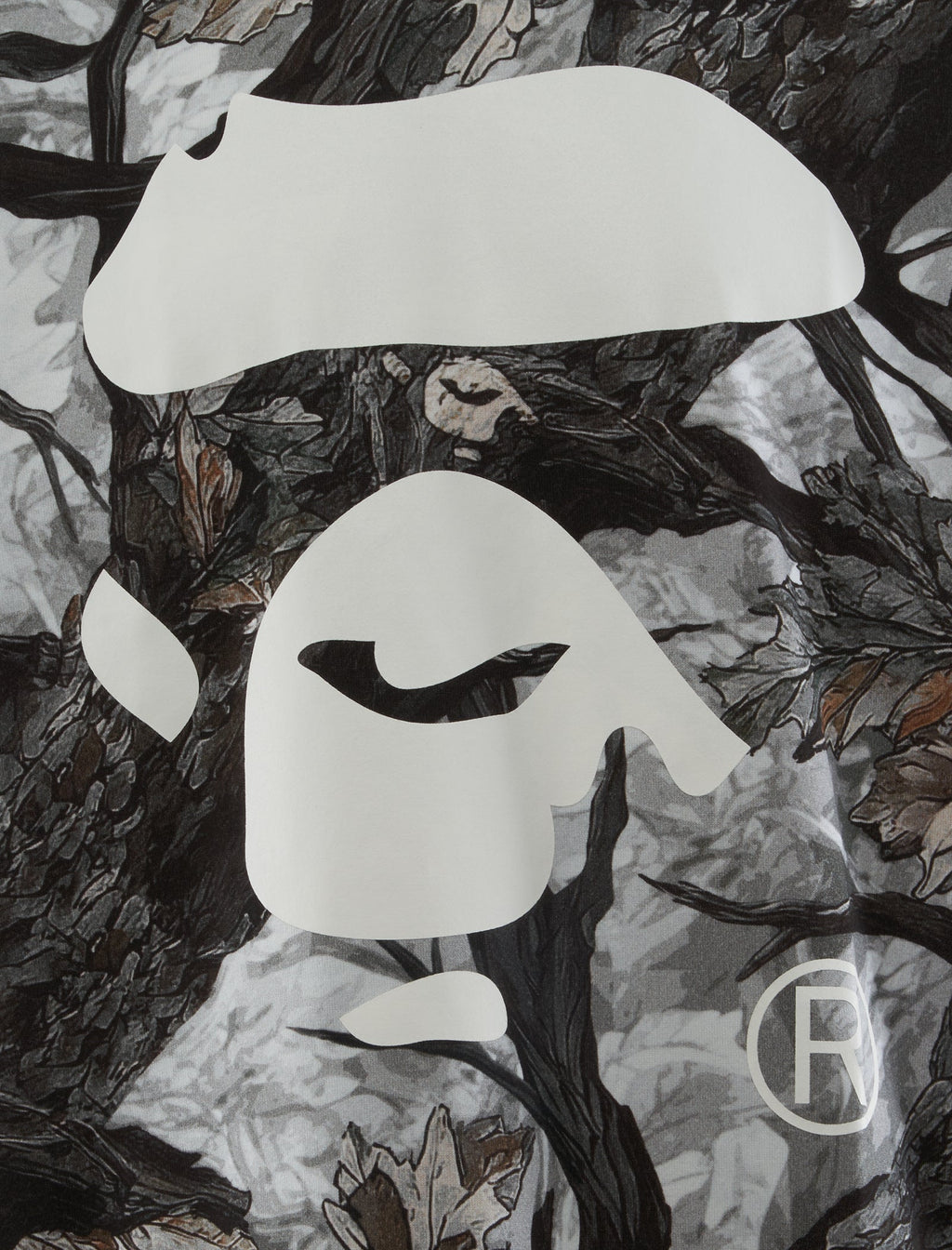 Camo Ape Face Tee A bathing ape – Гарантія оригінальності – вид ззаду