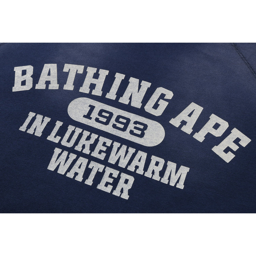 Destroy Washed Effect Relaxed Fit Crewneck Sweatshirt Mens A bathing ape – Гарантія оригінальності – детальний вид