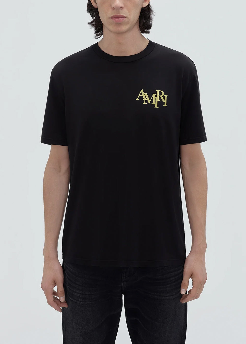 Black Crystal Champagne T-Shirt Amiri – Гарантія оригінальності – вид ззаду