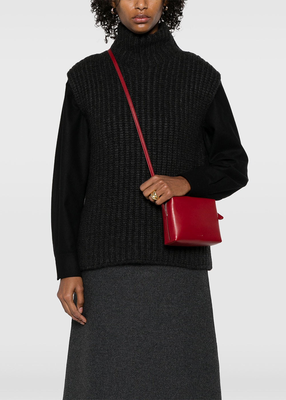 Barn Red Regent Crossbody Bag The row оригінал – Купити в Україні – вид ззаду