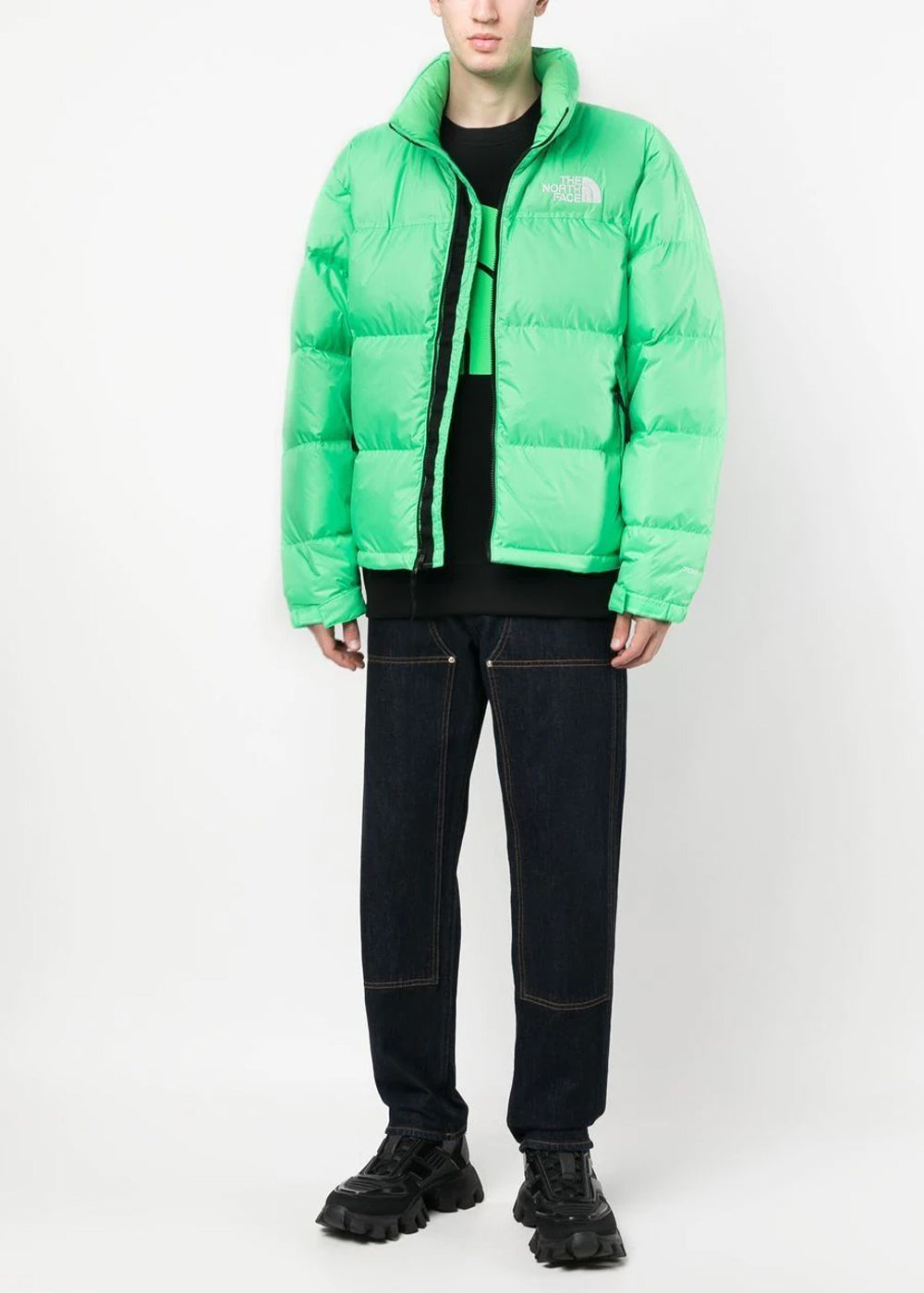 Оригінальна Green 1996 Retro Nuptse Down Jacket The north face – вид ззаду