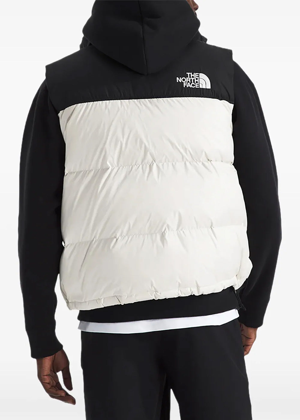 The north face Outerwear оригінал | Швидка доставка Україна – вид ззаду