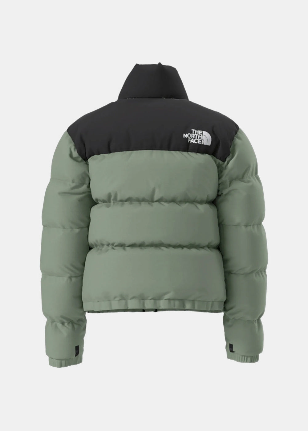 Light Green 1996 Retro Padded Jacket The north face оригінал – Купити в Україні – вид ззаду