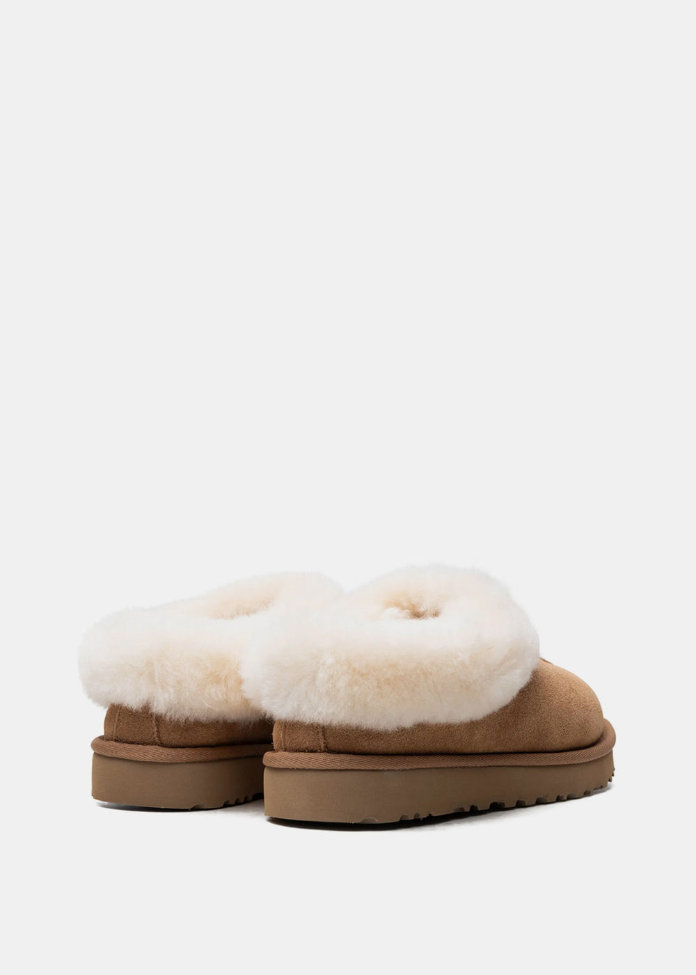 Chestnut Tazzette Slippers Ugg оригінал – Купити в Україні – детальний вид
