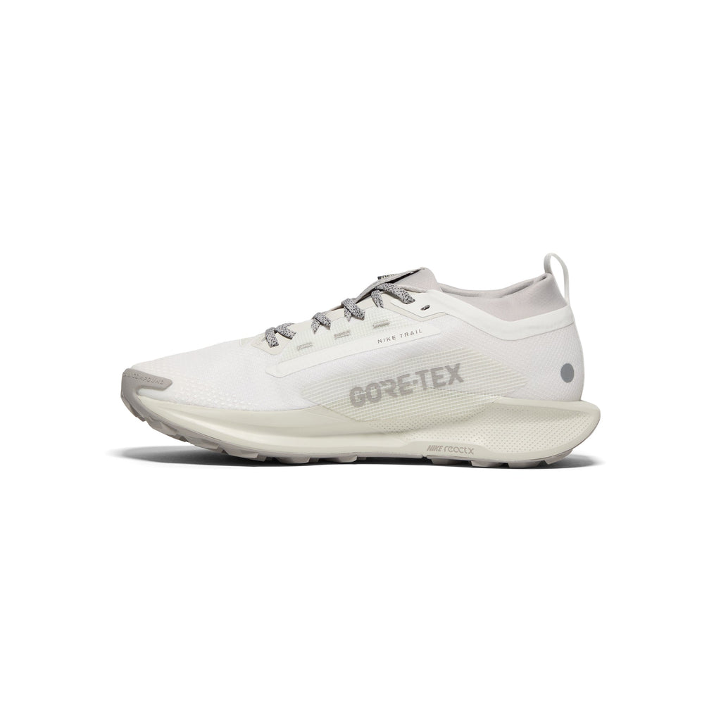 Оригінальна Pegasus Trail 5 Gore Tex Sp Nike – вид ззаду