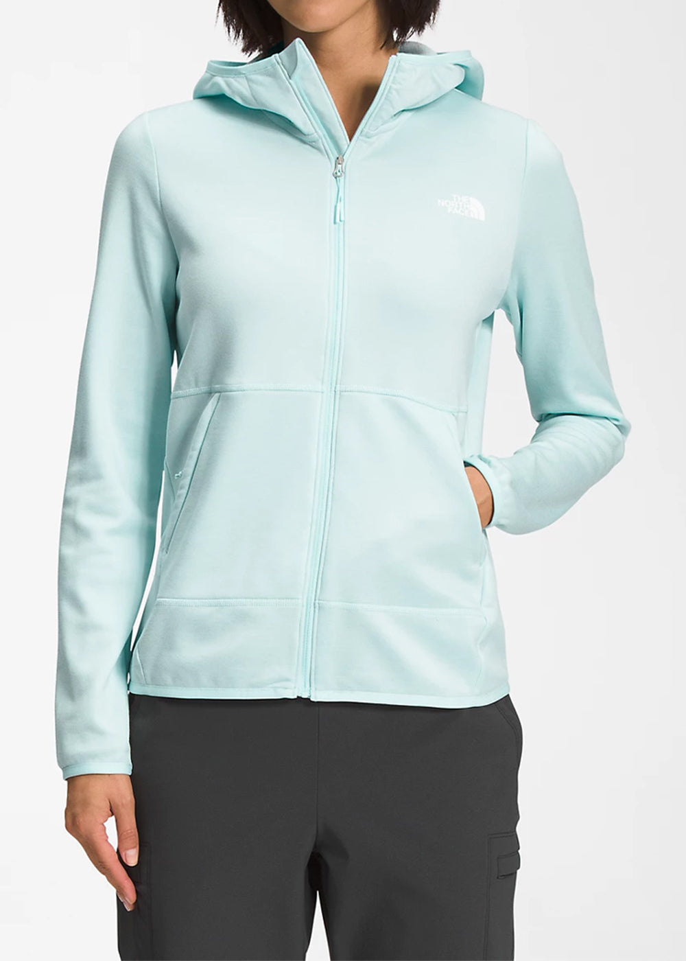 Blue Canyonlands Hoodie The north face оригінал – Купити в Україні – вид ззаду