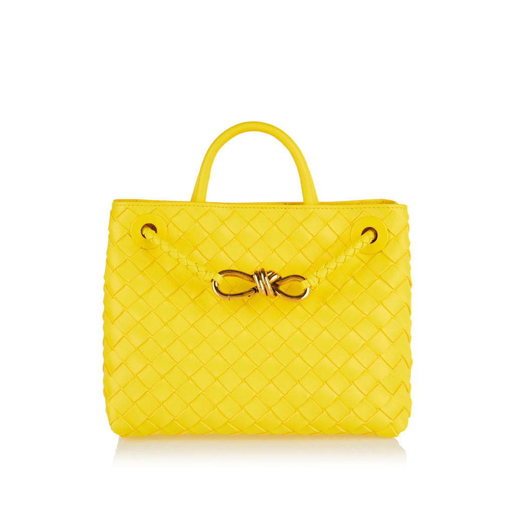 Оригінальна Andiamo Long Clutch Bottega veneta – збільшений вид