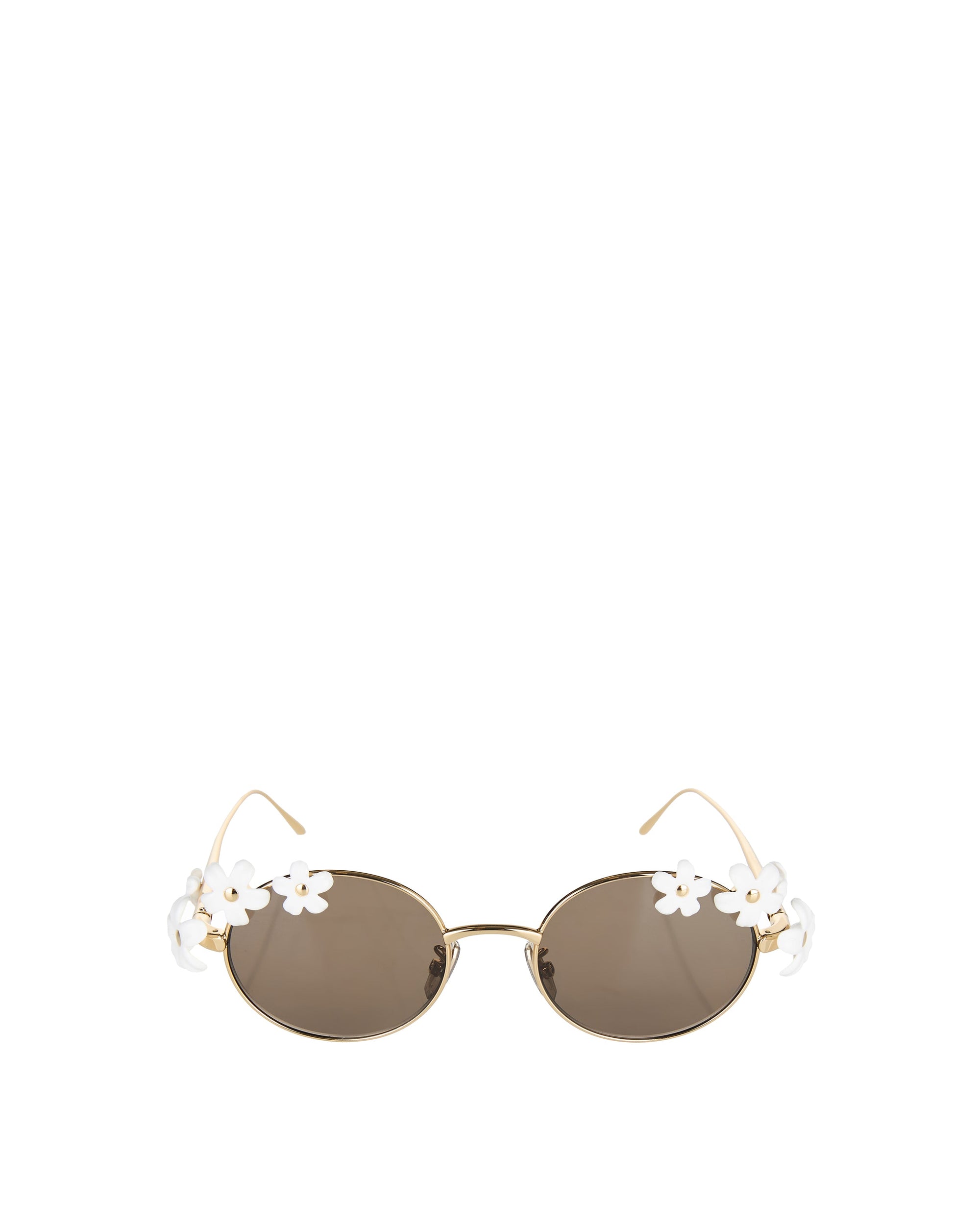 Оригінальна Daisy Field Sunglasses Loewe – боковий вид