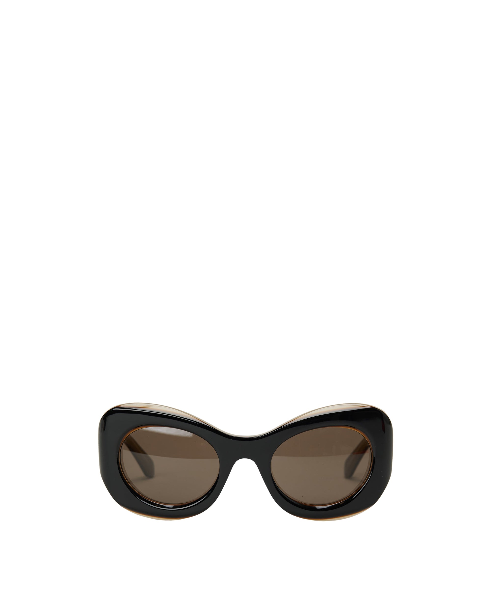 Оригінальна Sierra Butterfly Sunglasses Loewe – боковий вид
