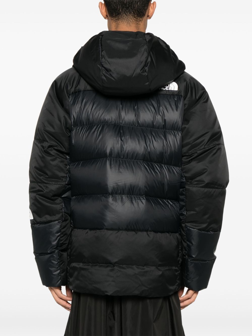 1996 Retro Neptuse Jacket The north face оригінал – Купити в Україні – вид ззаду