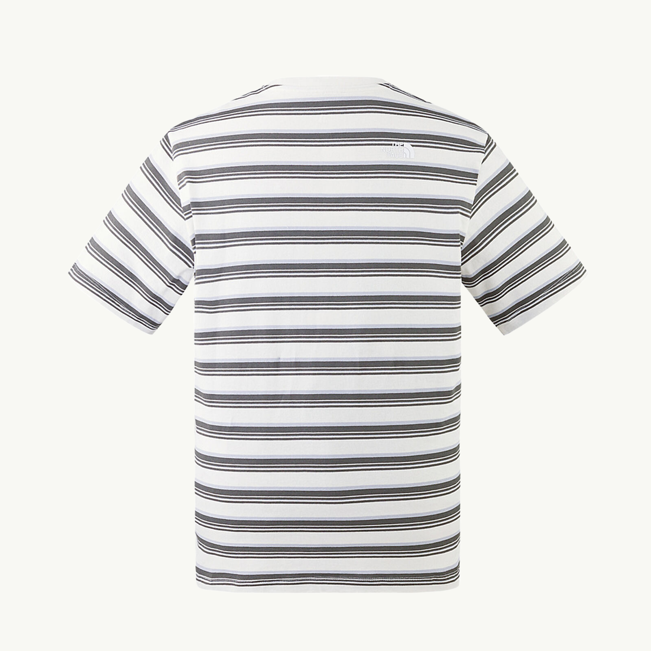 Stripe Tee The north face оригінал – Купити в Україні – вид ззаду