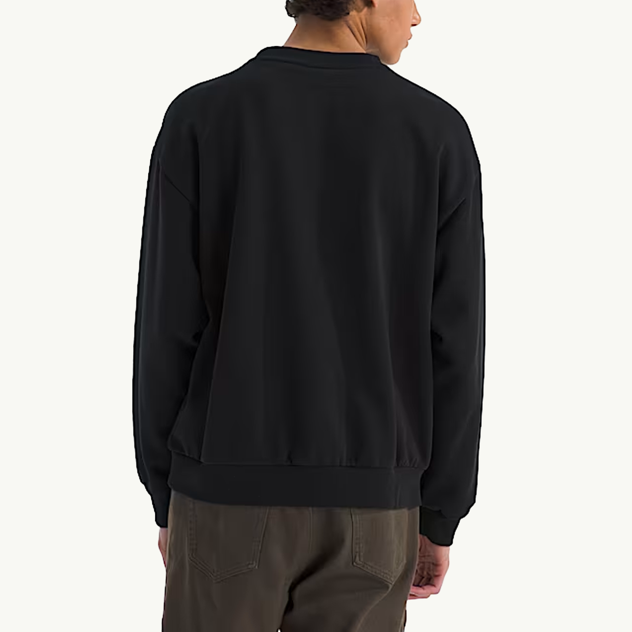 Evolution Simple Dome Oversized Crew THE NORTH FACE оригінал – Купити в Україні – вид ззаду