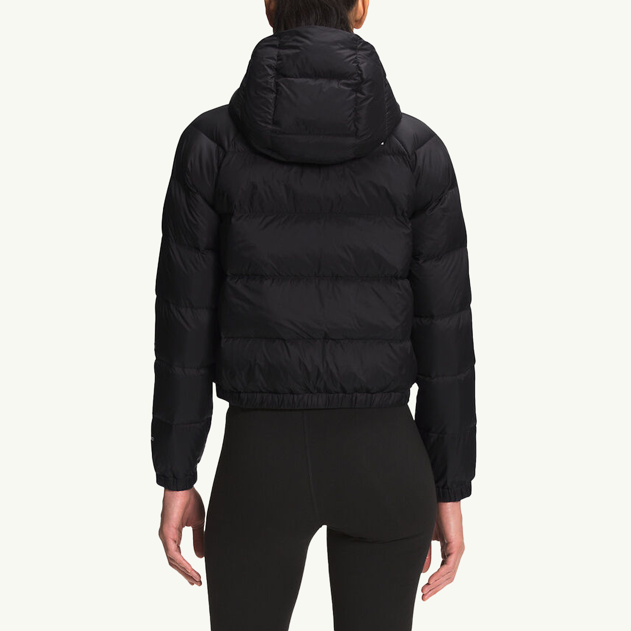 THE NORTH FACE Outerwear оригінал | Швидка доставка Україна – вид ззаду