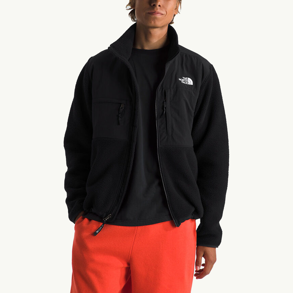 Оригінальна Retro Denali Jacket The north face – вид ззаду