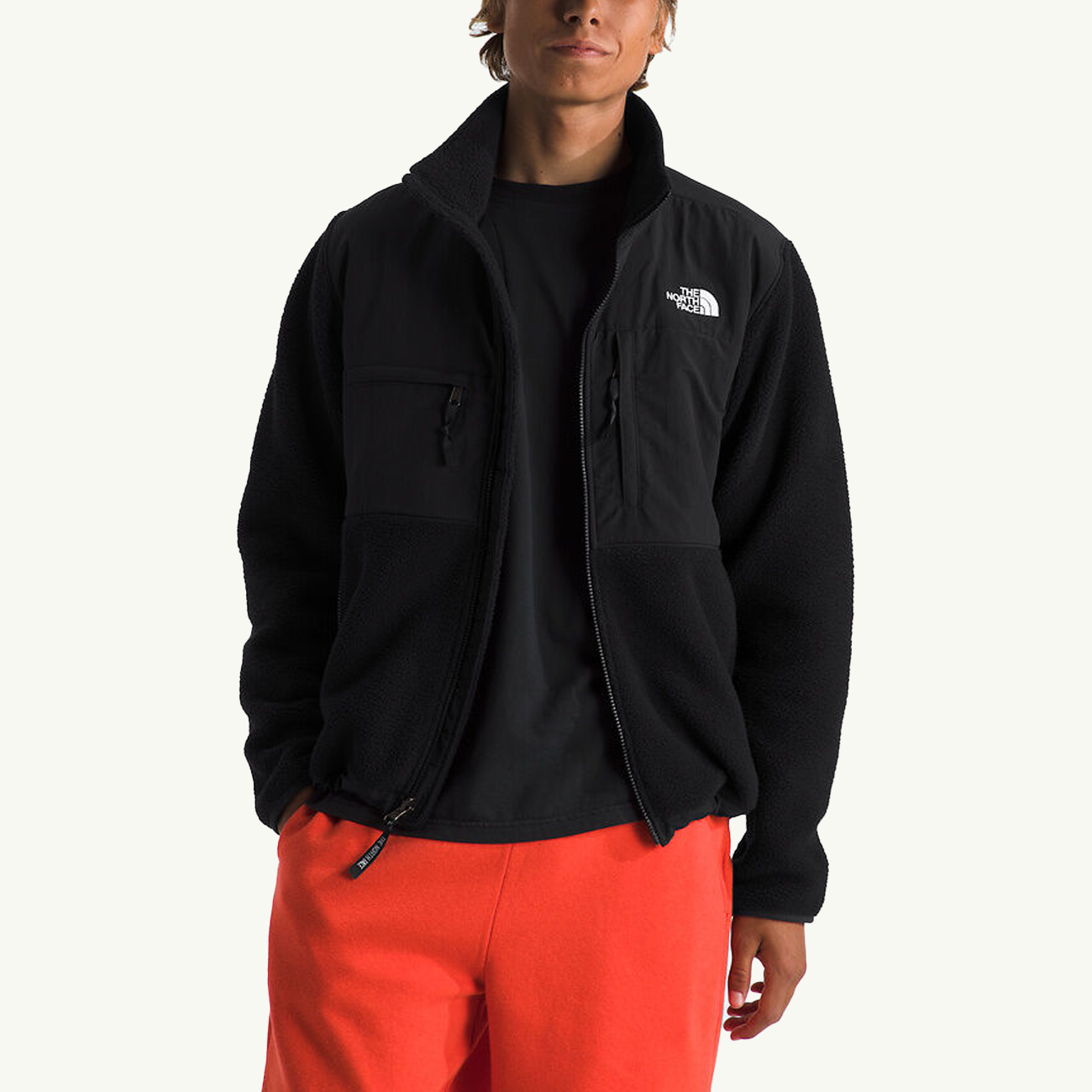 Оригінальна Retro Denali Jacket The north face – вид ззаду