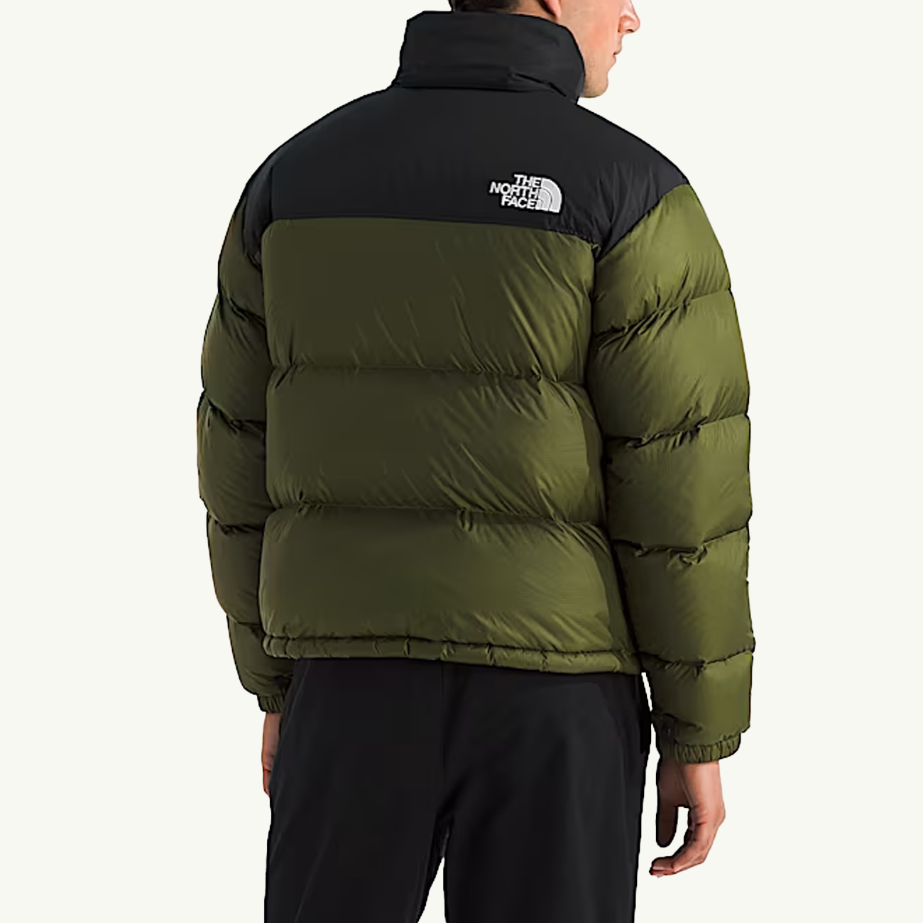 The north face Outerwear оригінал | Швидка доставка Україна – вид ззаду