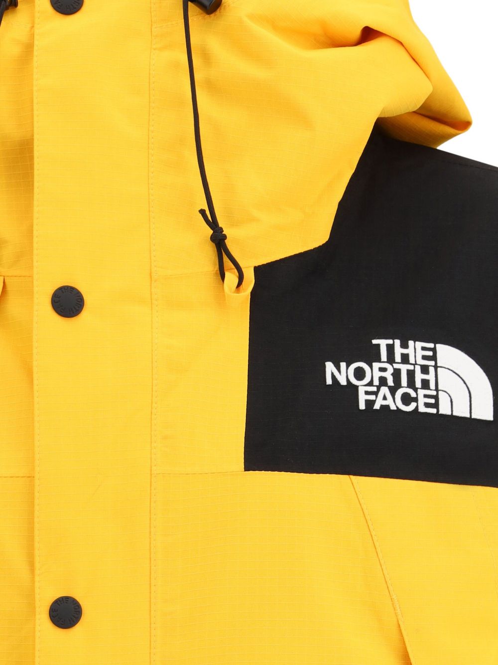 Dryvent Mono Mountain Jacket The north face оригінал – Купити в Україні – вид ззаду