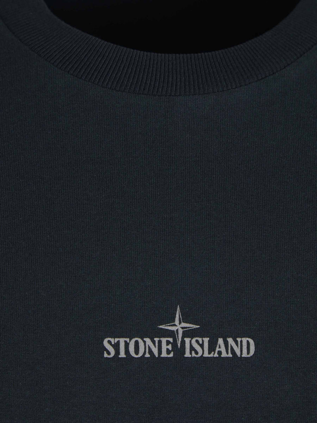 Оригінальна Cotton Logo T-Shirt Stone island – вид ззаду