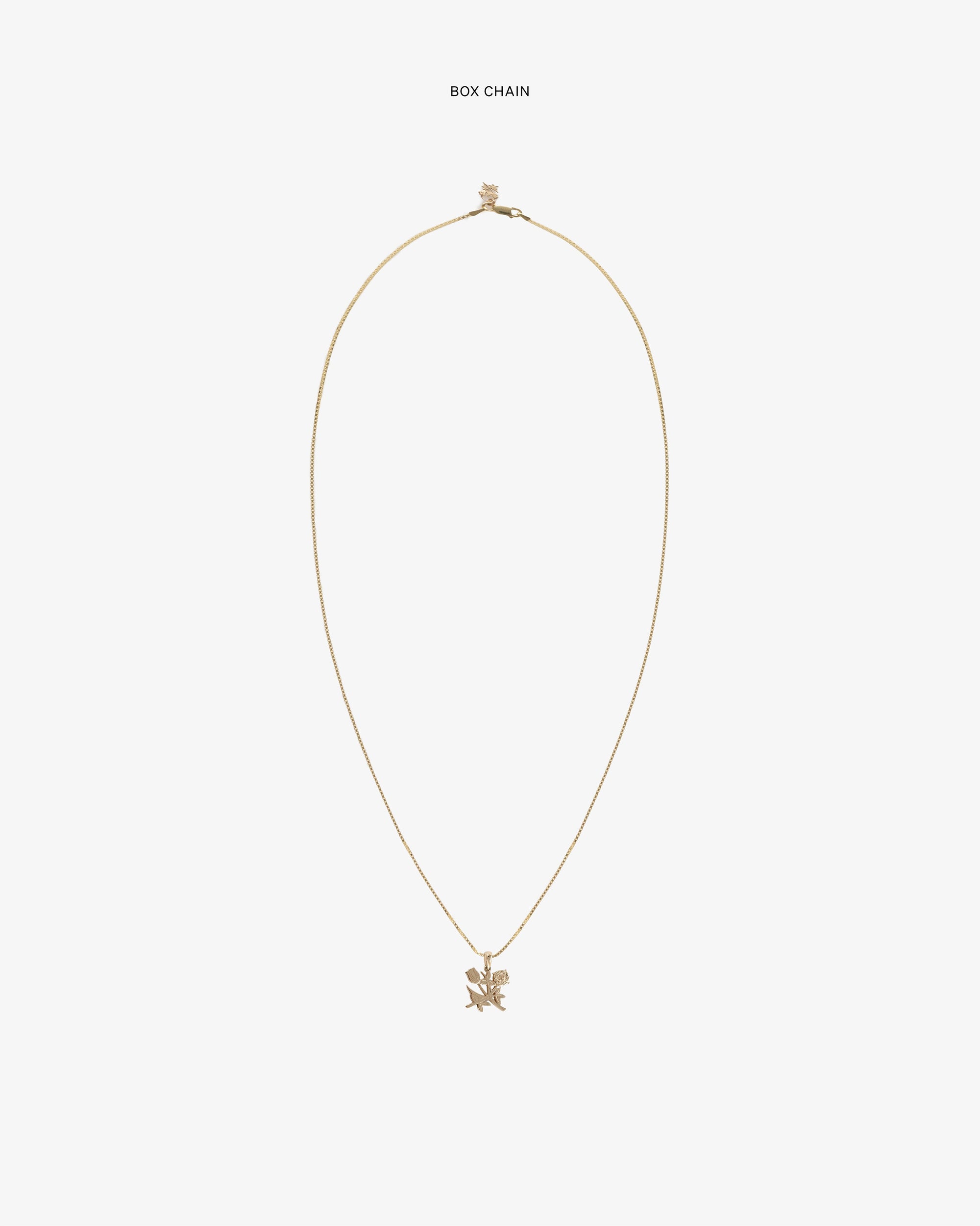 14kt Gold Pendant Aime leon dore оригінал – Купити в Україні – детальний вид