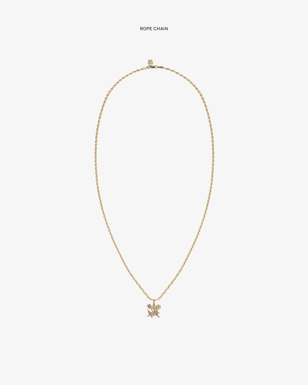 14kt Gold Pendant Aime leon dore оригінал – Купити в Україні – збільшений вид