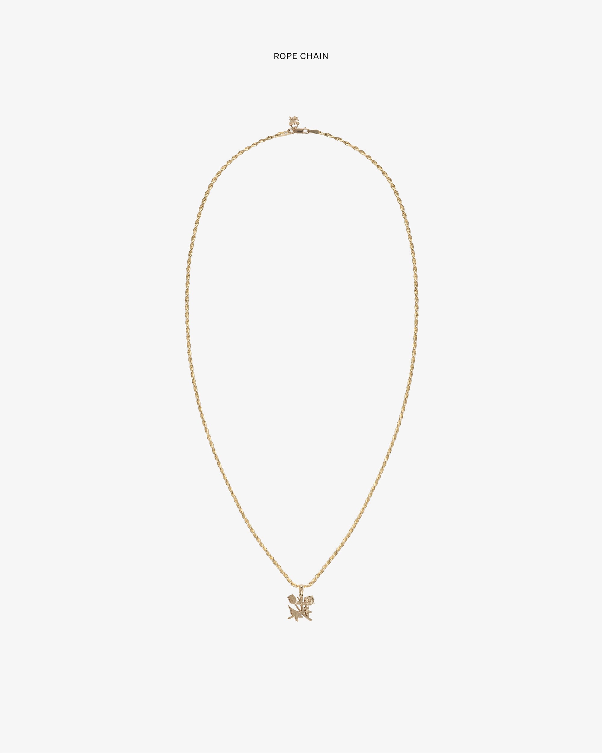 14kt Gold Pendant Aime leon dore оригінал – Купити в Україні – збільшений вид