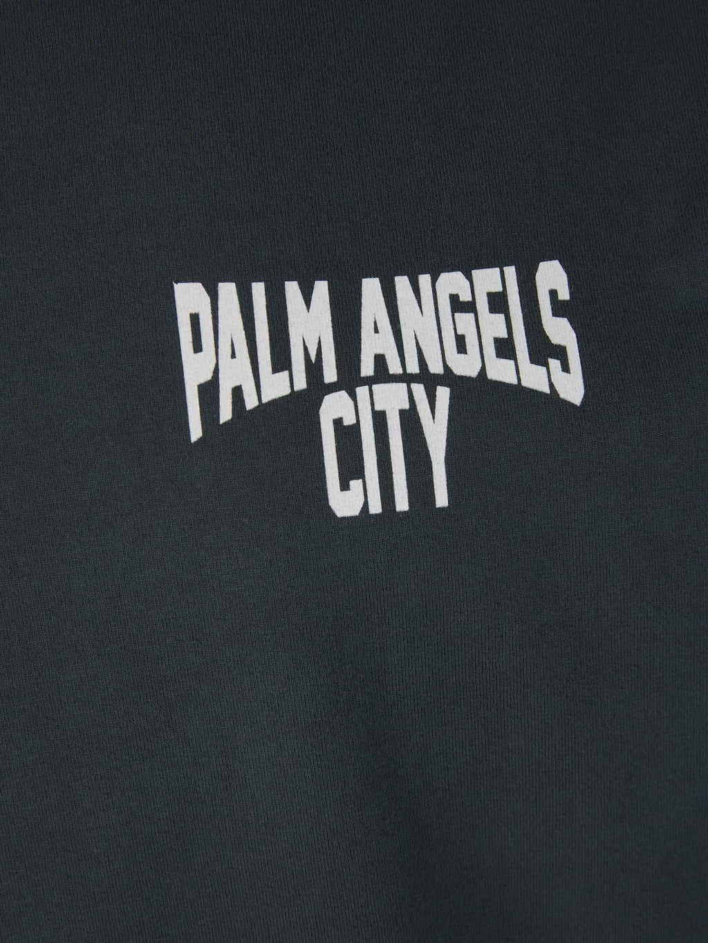 City Washed T-Shirt Palm angels оригінал – Купити в Україні – збільшений вид