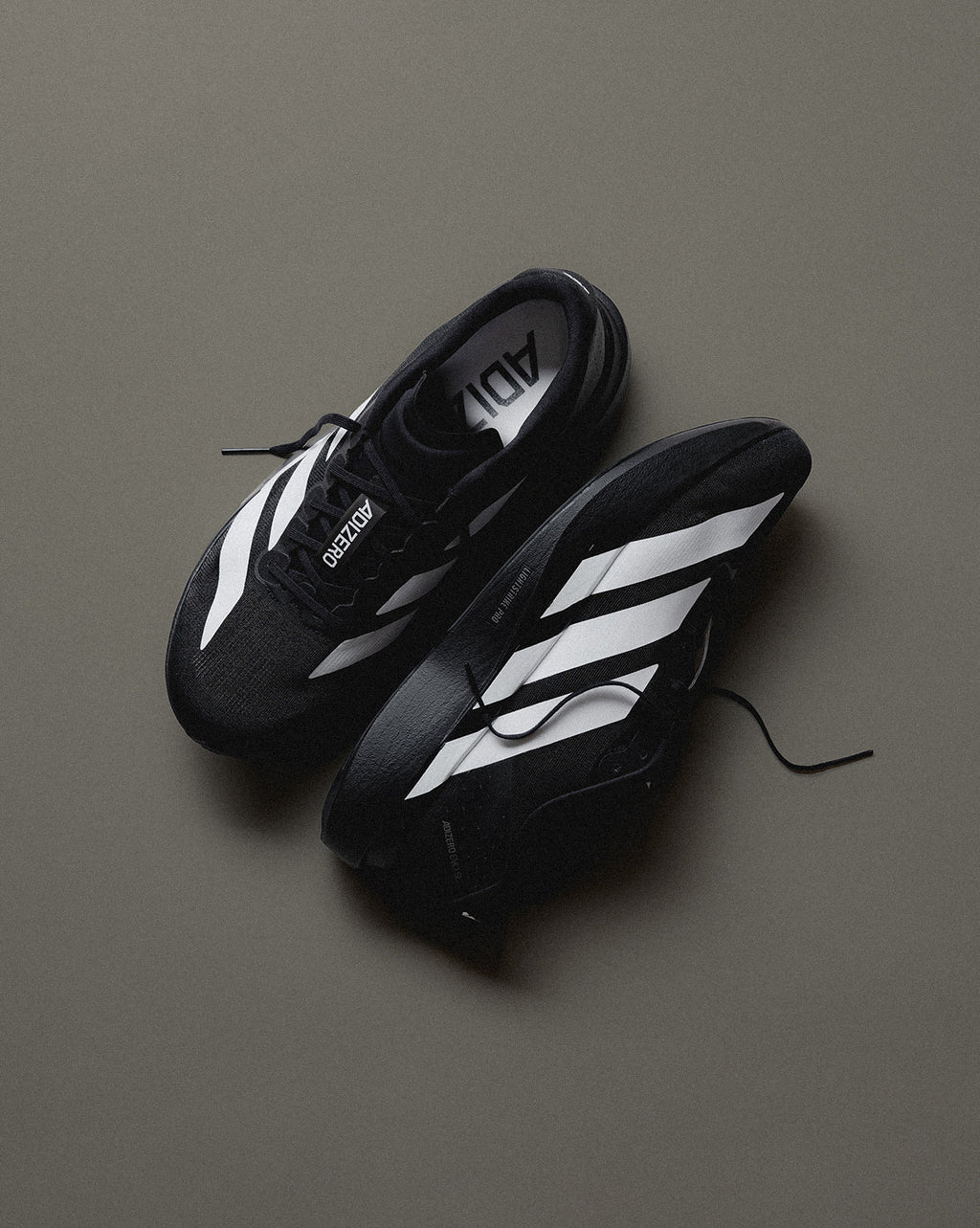 Оригінальна Adizero Evo Sl M Adidas – вид ззаду