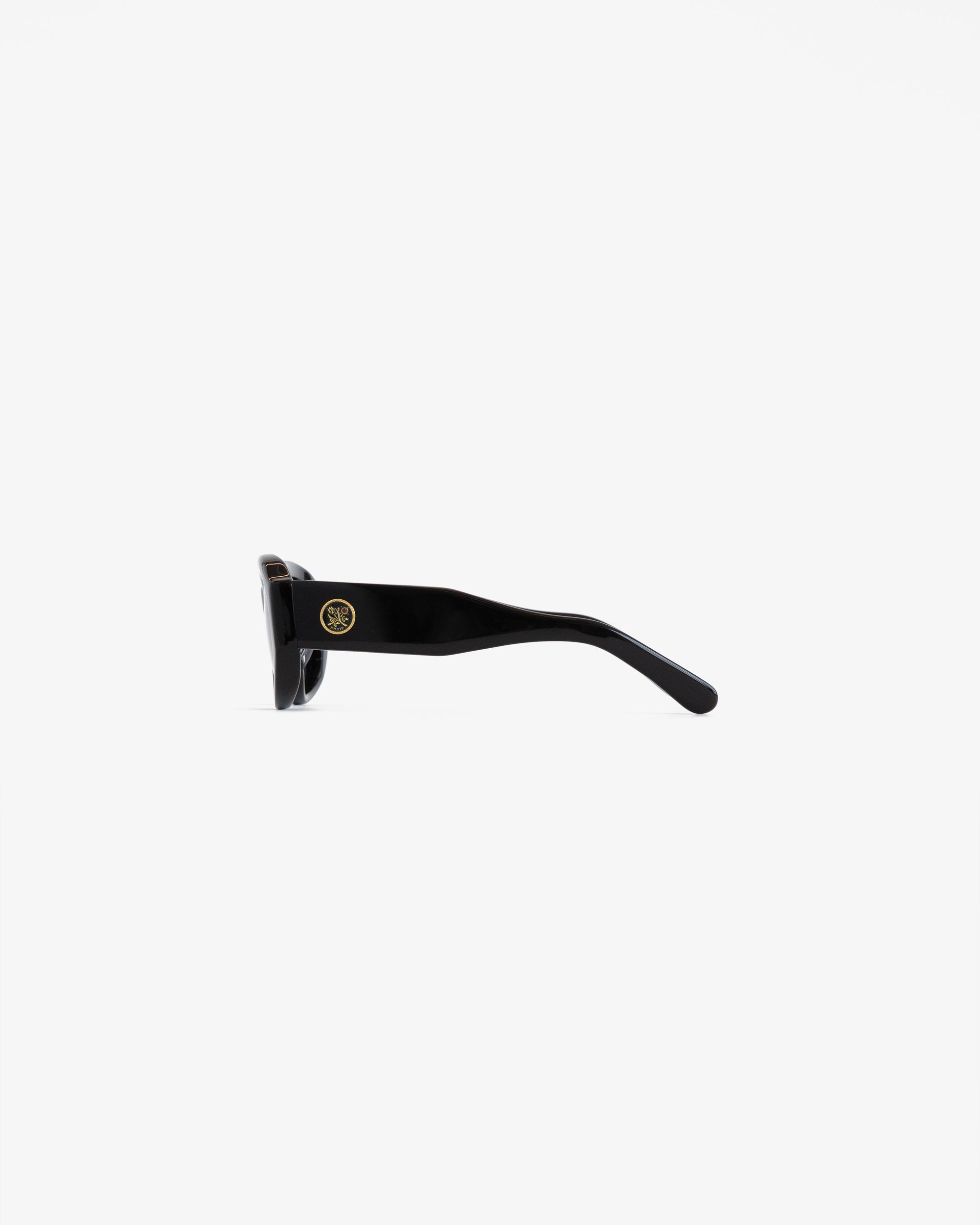 Оригінальна Jackie O Sunglasses Aime leon dore – детальний вид