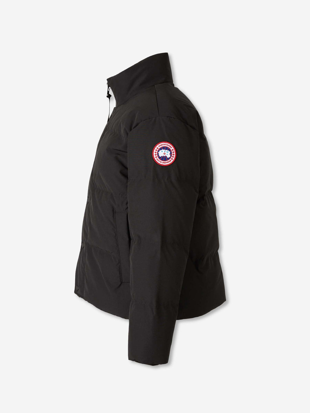 Short Bayview Puffer Canada goose оригінал – Купити в Україні – вид ззаду