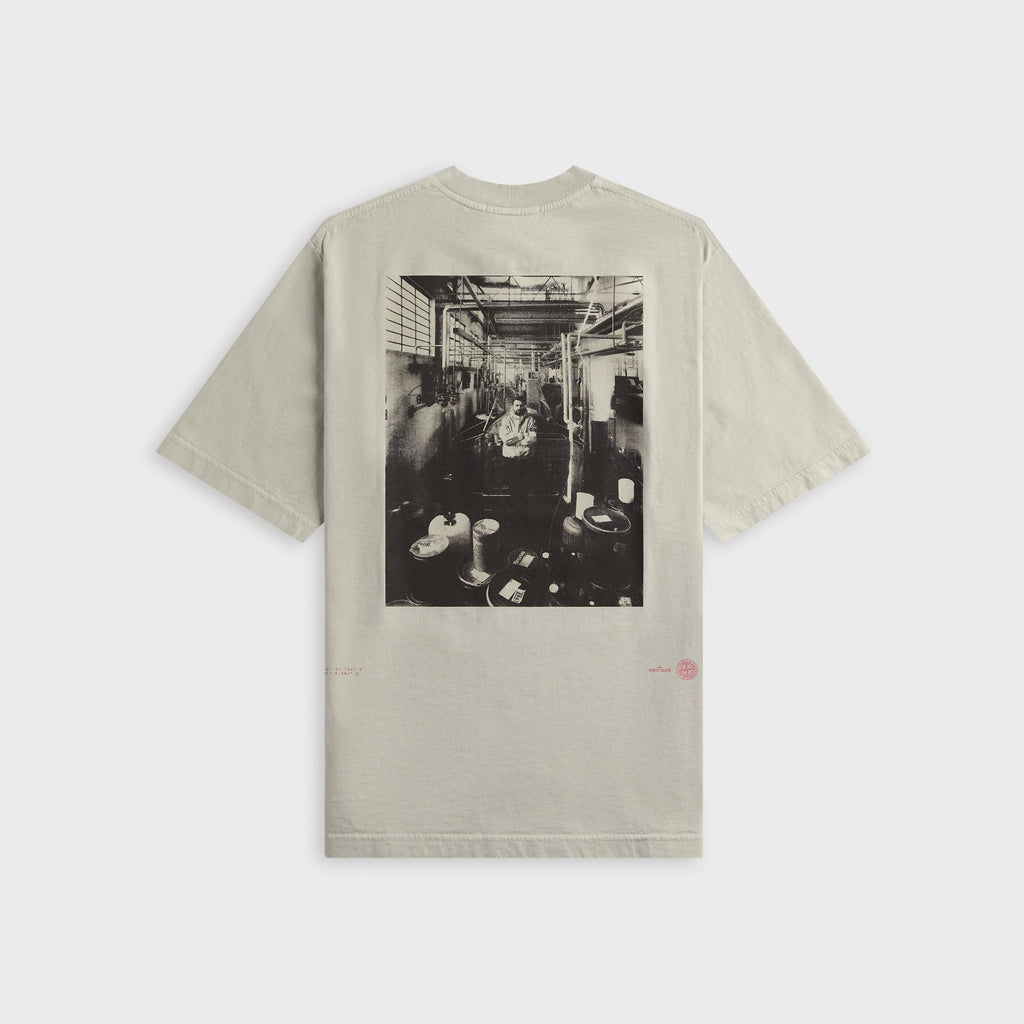 Оригінальна Carlo Print Tee Pearl Grey Stone island – вид ззаду