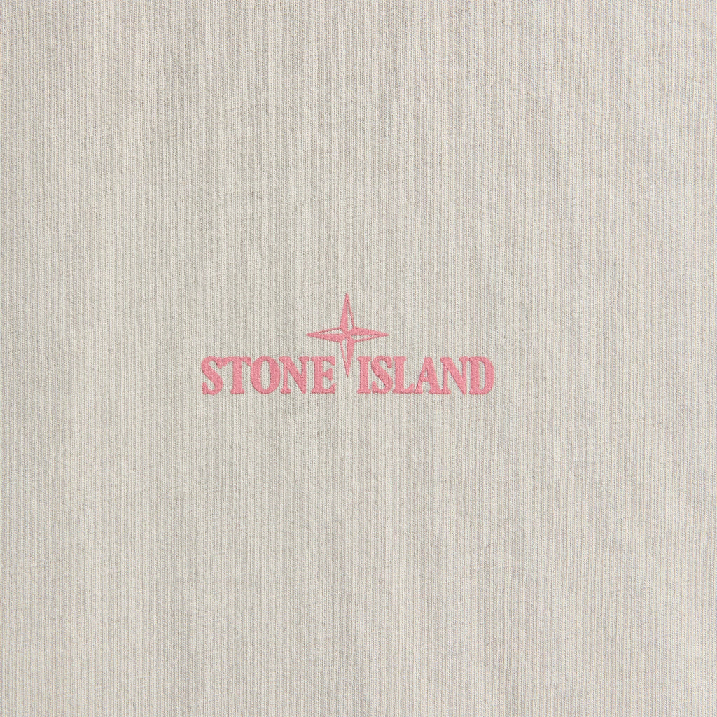 Оригінальна Carlo Print Tee Pearl Grey Stone island – збільшений вид