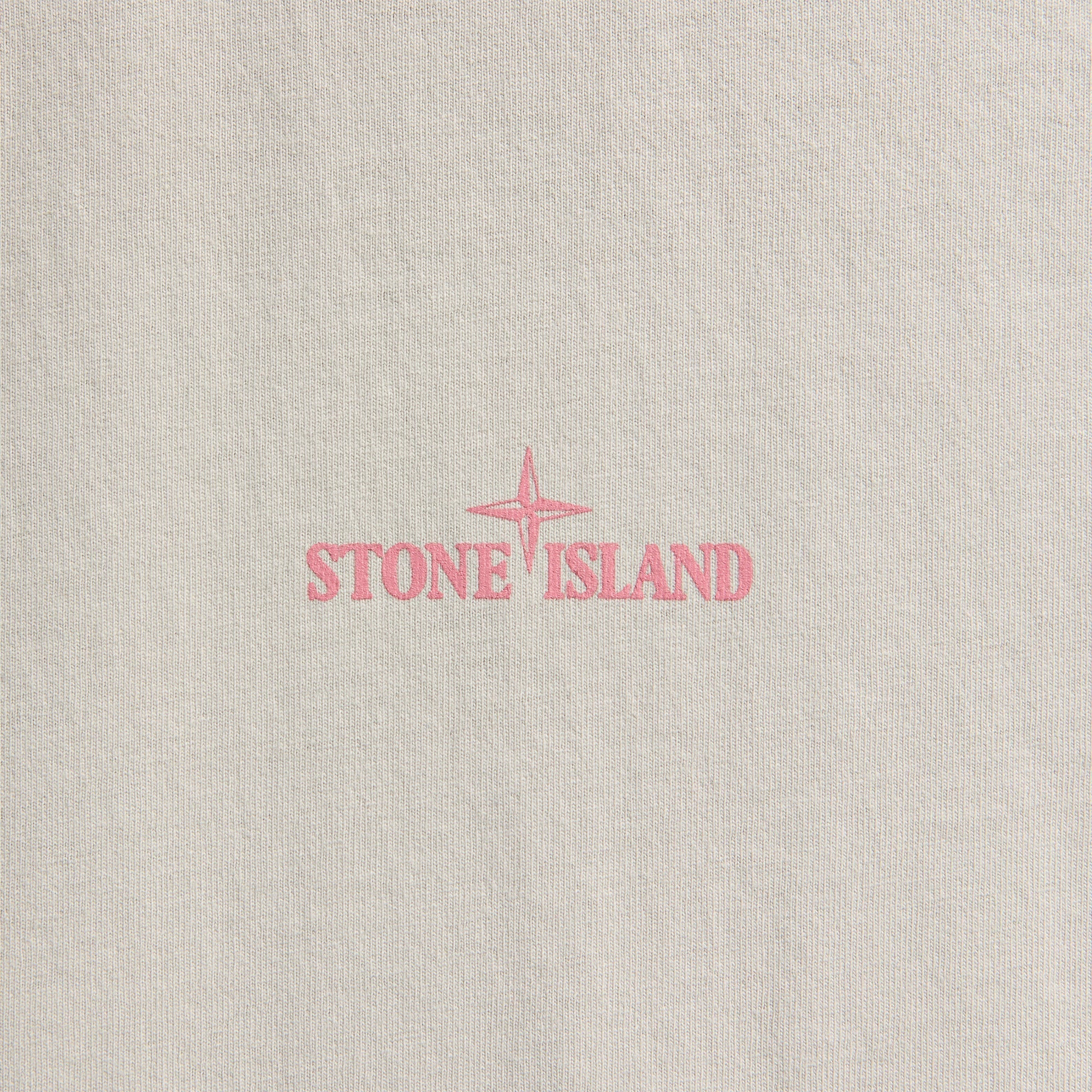 Оригінальна Carlo Print Tee Pearl Grey Stone island – збільшений вид