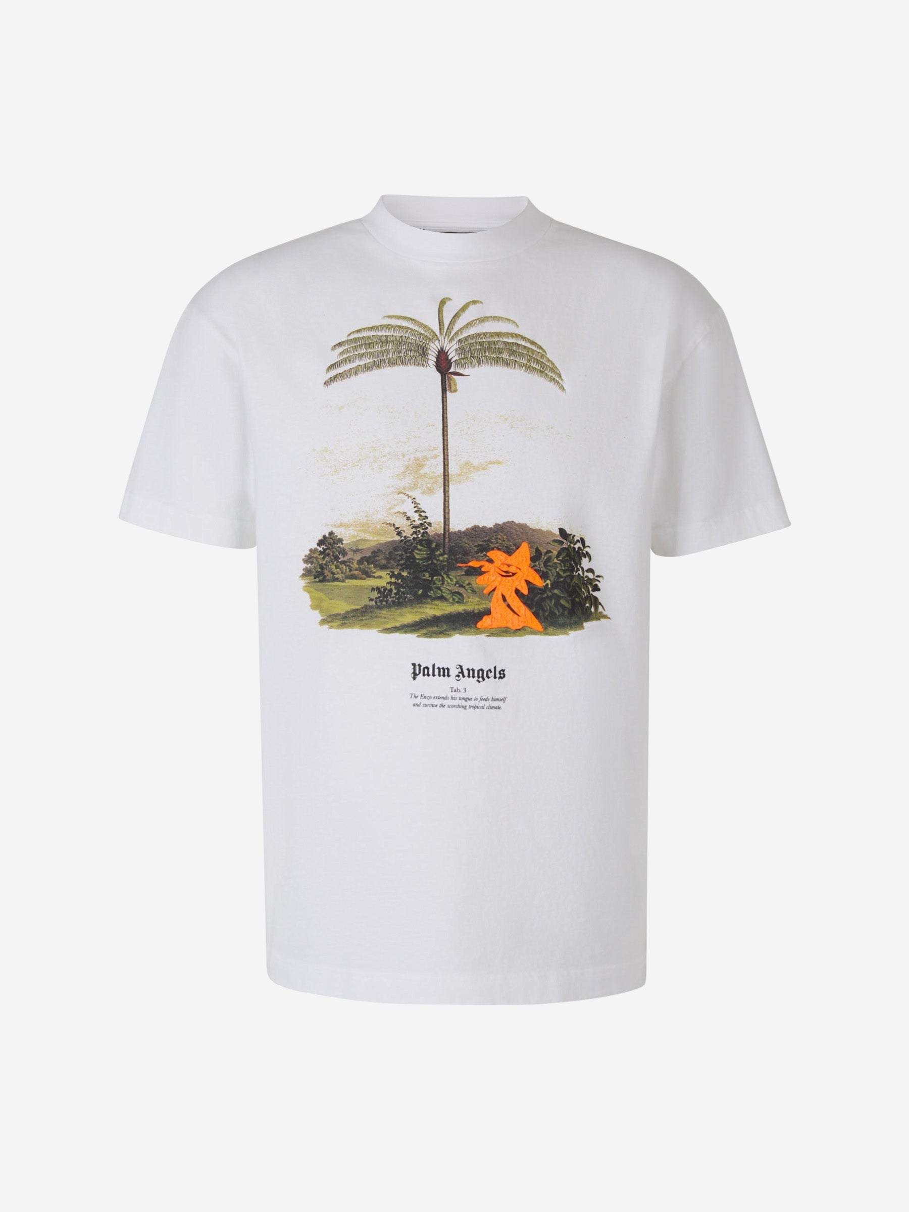 Оригінальна Printed Graphic T-Shirt Palm angels – боковий вид