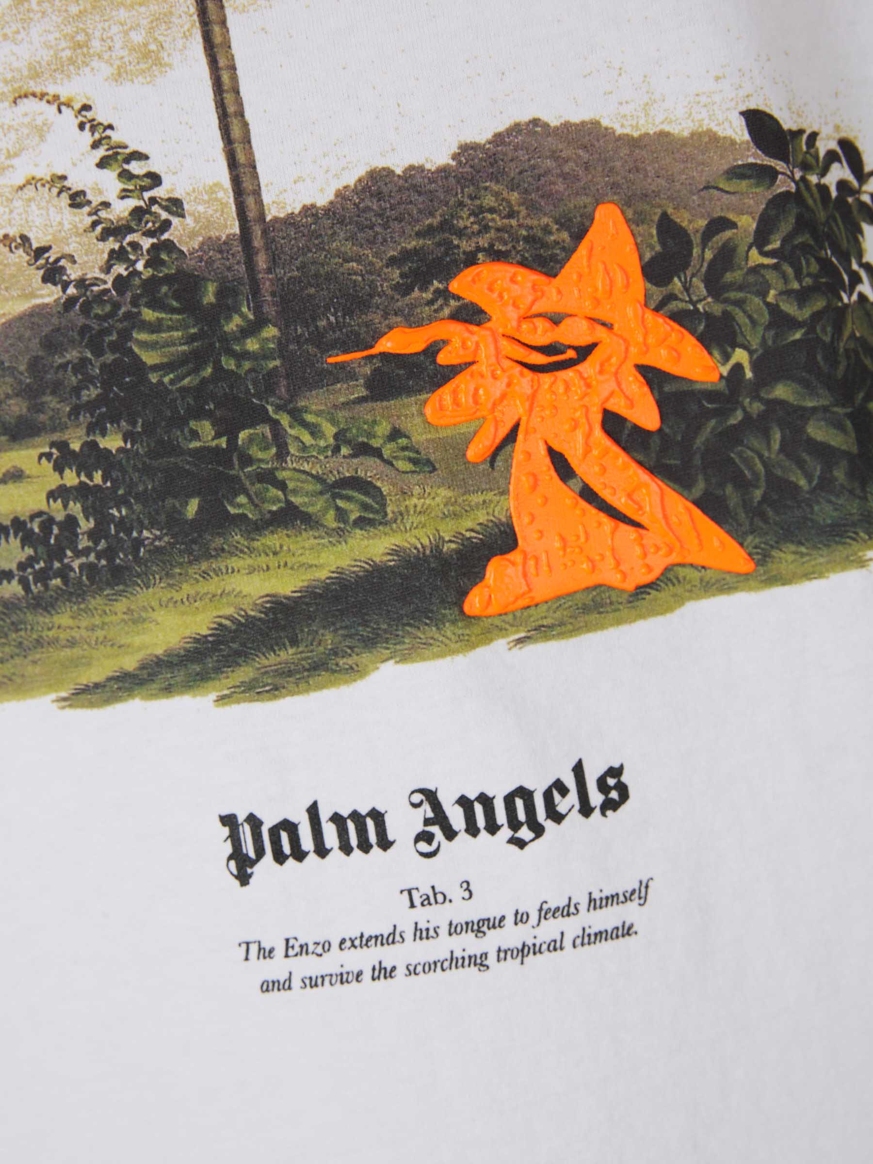 Оригінальна Printed Graphic T-Shirt Palm angels – детальний вид