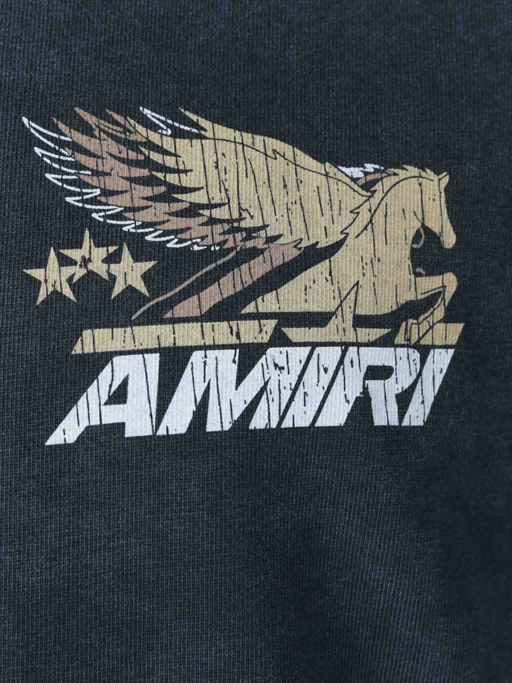 Pegasus Vintage T-Shirt Amiri оригінал – Купити в Україні – детальний вид