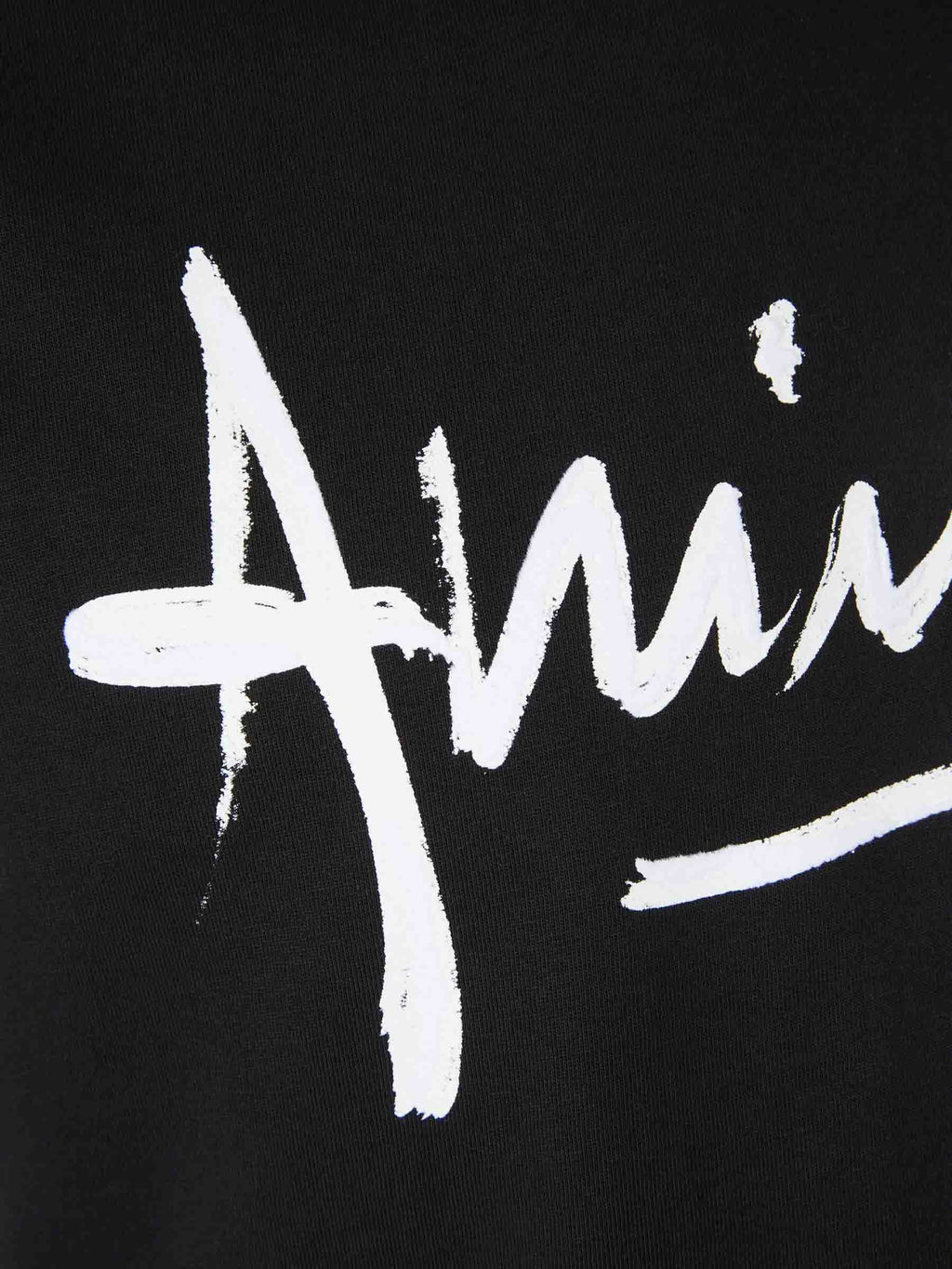 Оригінальна Round Neck T-Shirt Amiri – збільшений вид