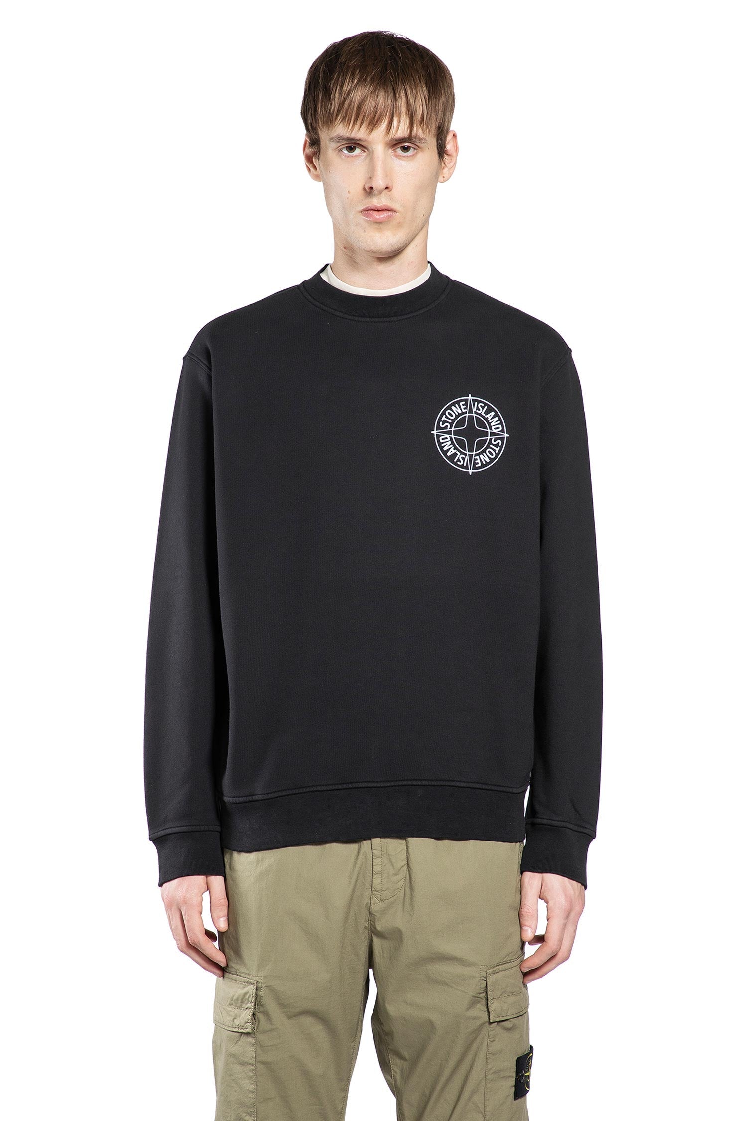 Оригінальна 6100001 Sweatshirt Stone island – вид ззаду