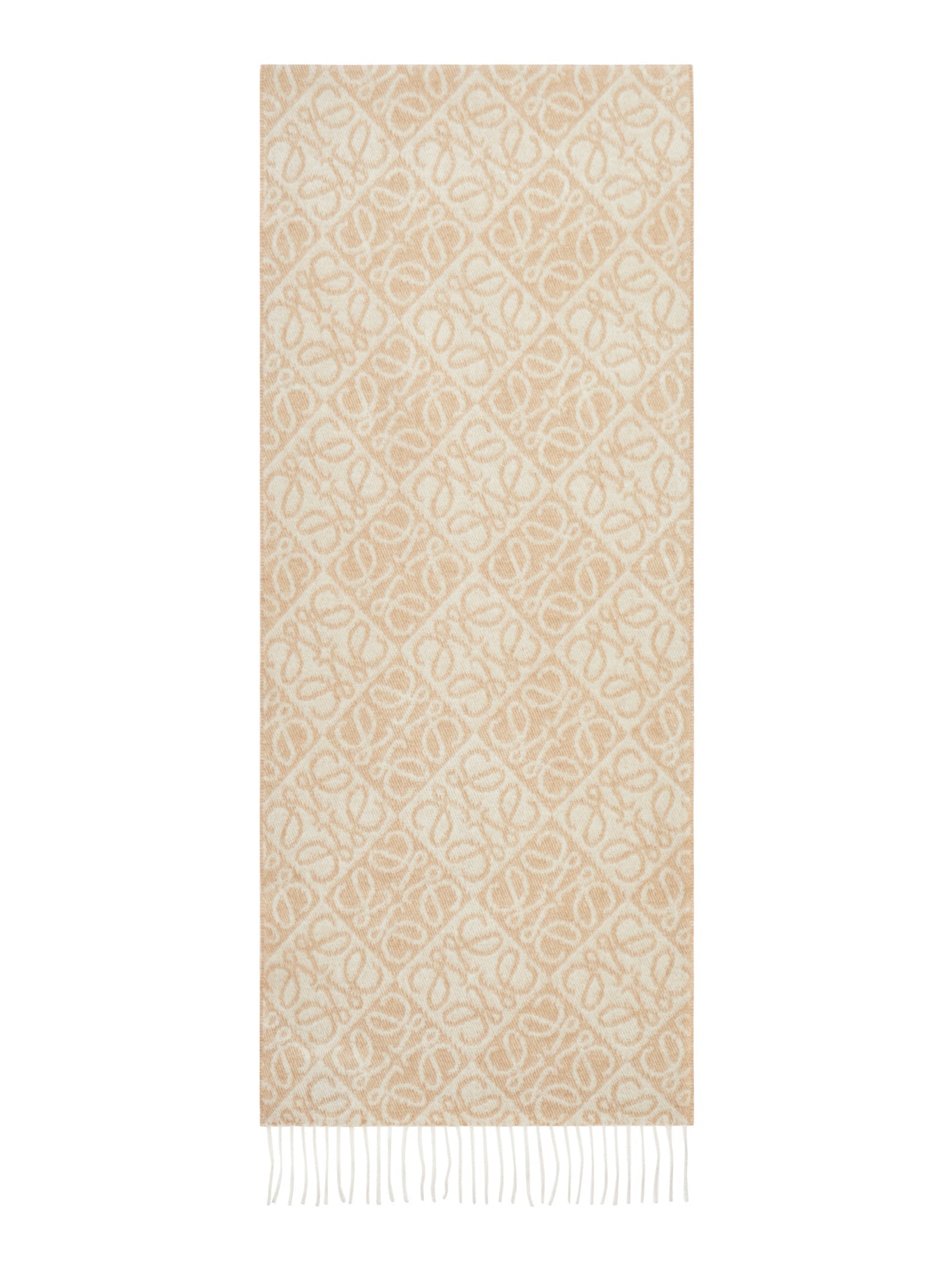 Оригінальна Anagram Wool And Cashmere Scarf Loewe – вид ззаду
