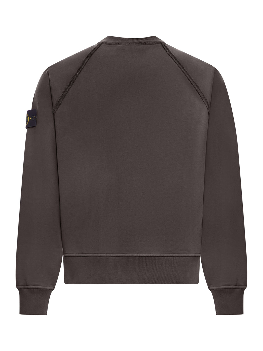 Crew Neck Sweatshirt In Organic Brushed Cotton Stone island – Гарантія оригінальності – вид ззаду