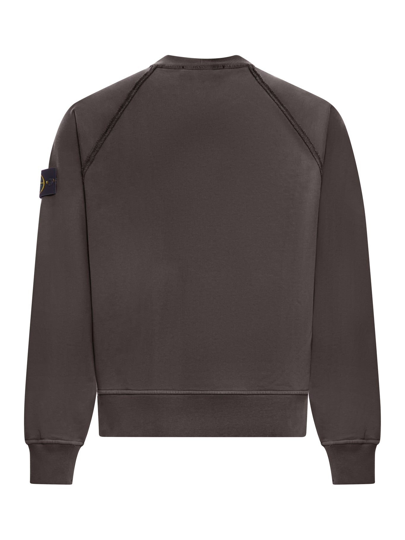 Crew Neck Sweatshirt In Organic Brushed Cotton Stone island – Гарантія оригінальності – вид ззаду