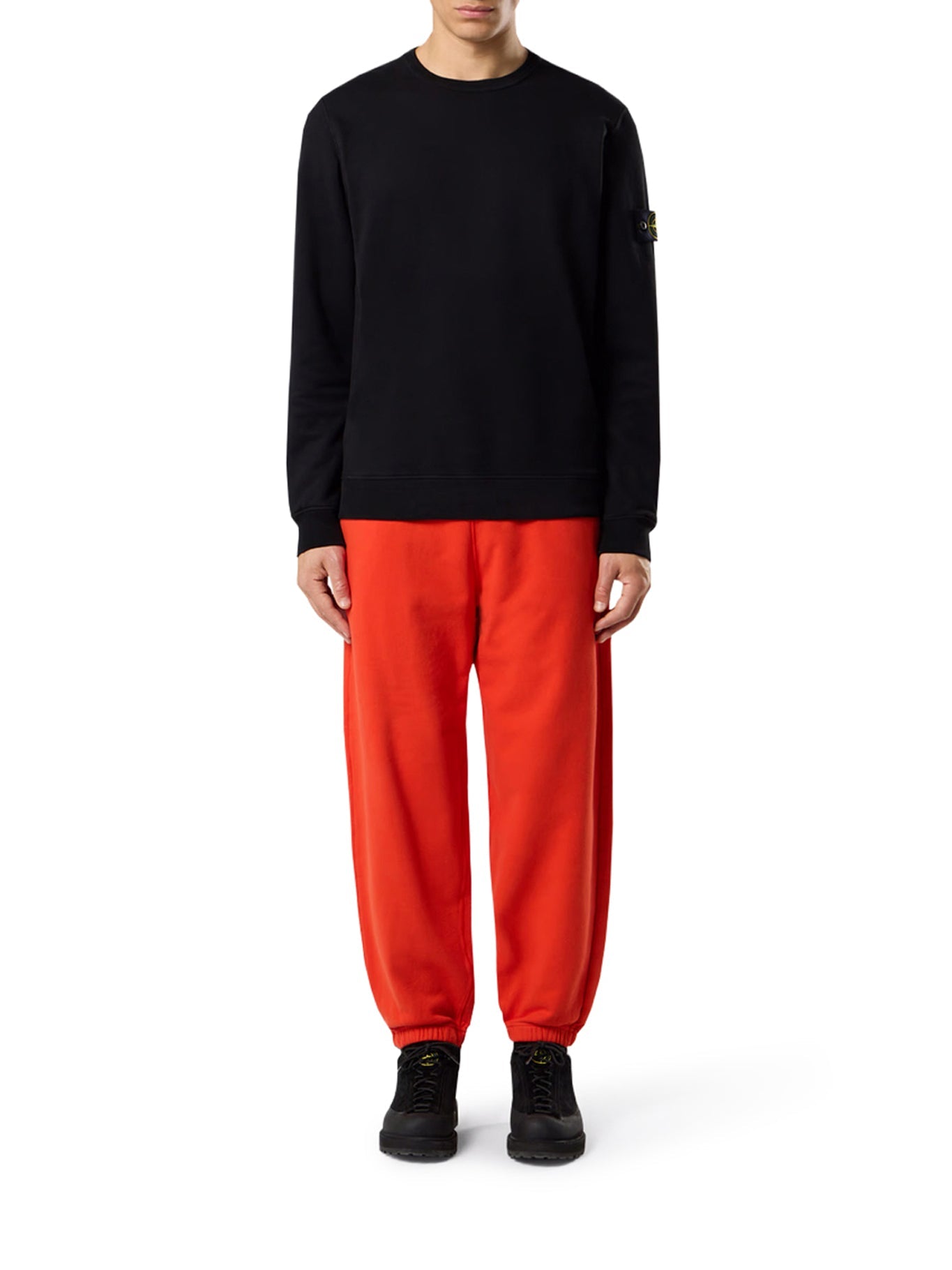 Оригінальна Crewneck Cotton Sweatshirt With Compass Logo Stone island – вид ззаду
