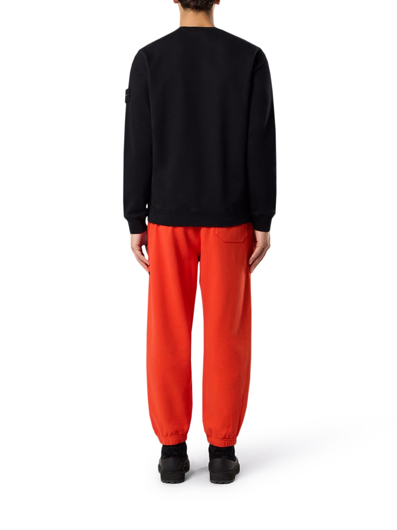 Оригінальна Crewneck Cotton Sweatshirt With Compass Logo Stone island – детальний вид