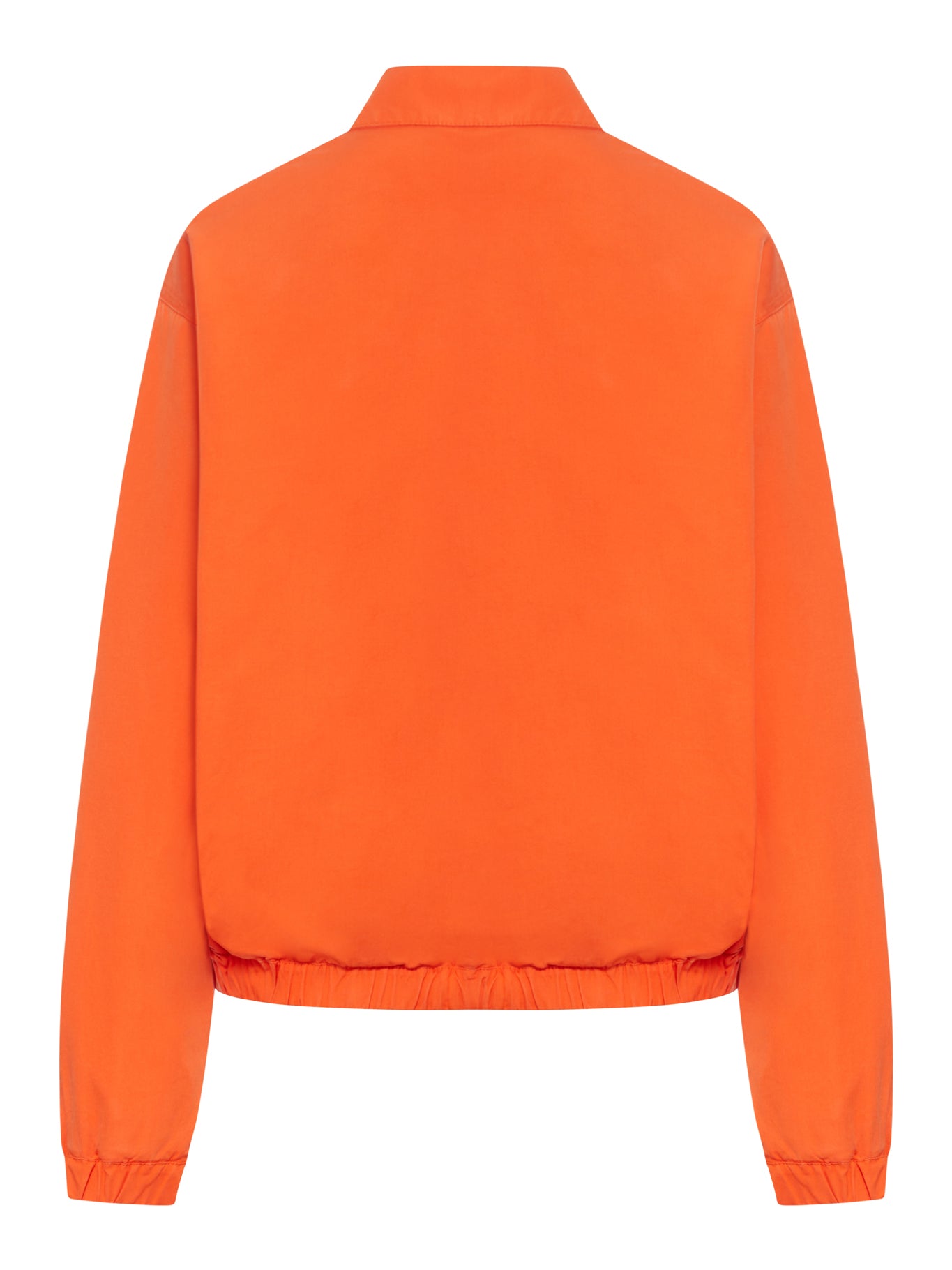 Оригінальна Cotton Poplin Bomber Jacket With Logo Miu miu – вид ззаду