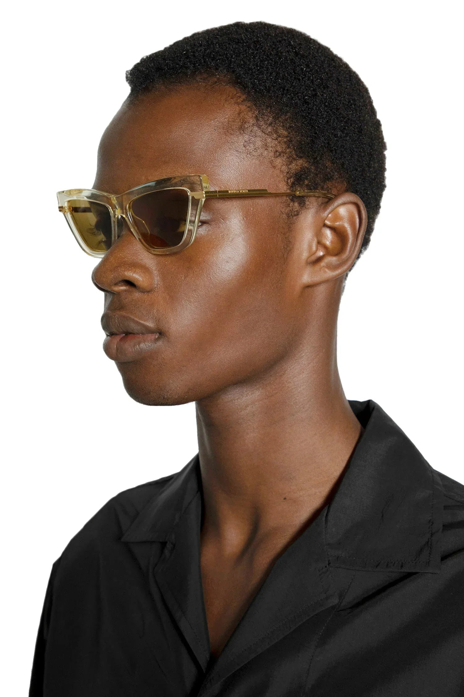 Оригінальна Classic Acetate Cat-Eye Sunglasses Bottega veneta – збільшений вид