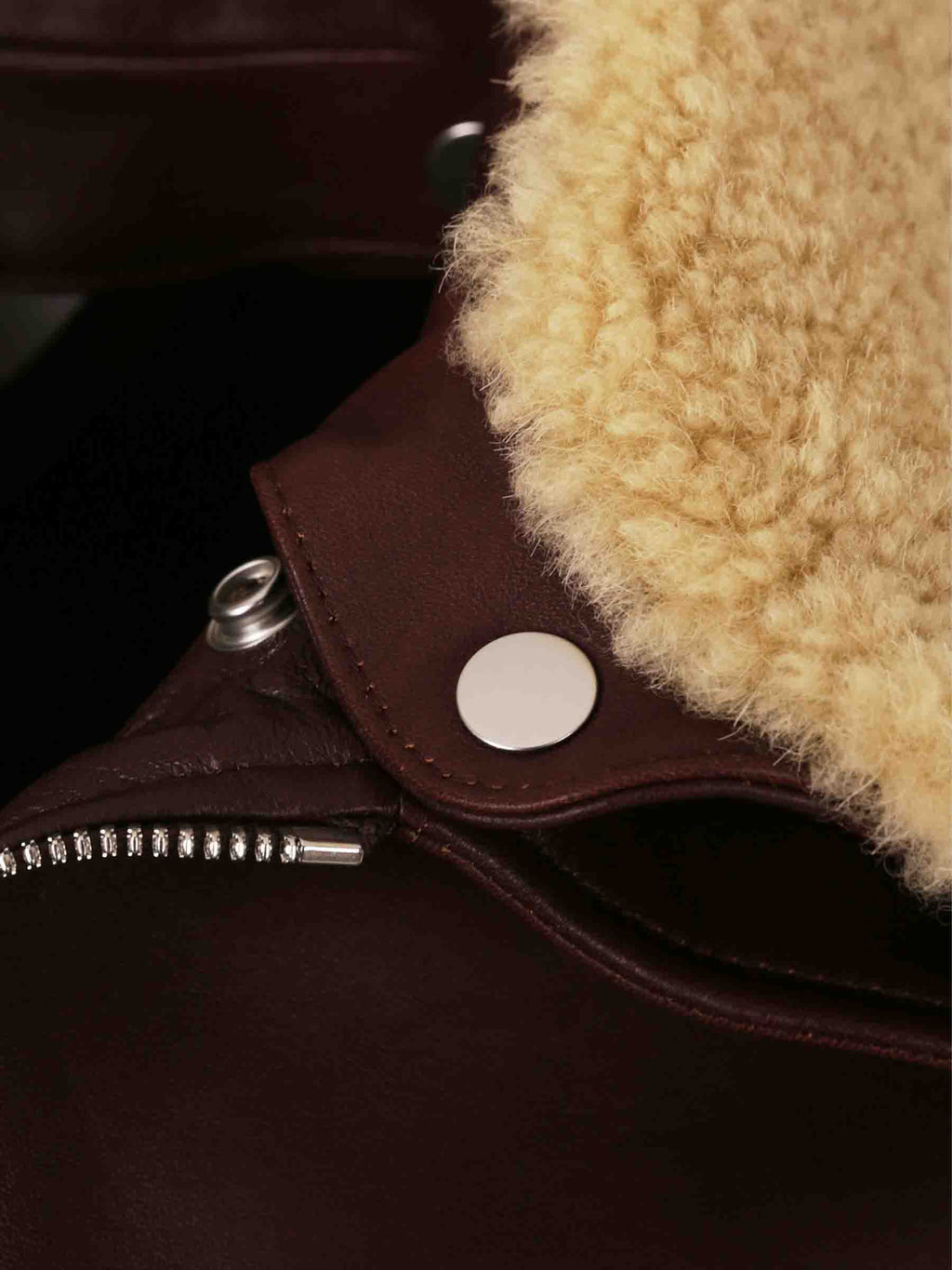 Leather Aviator Jacket Bottega veneta – Гарантія оригінальності – детальний вид