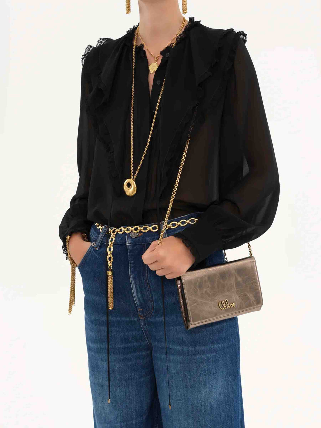 Iconic Wallet Bag Chloe оригінал – Купити в Україні – вид ззаду