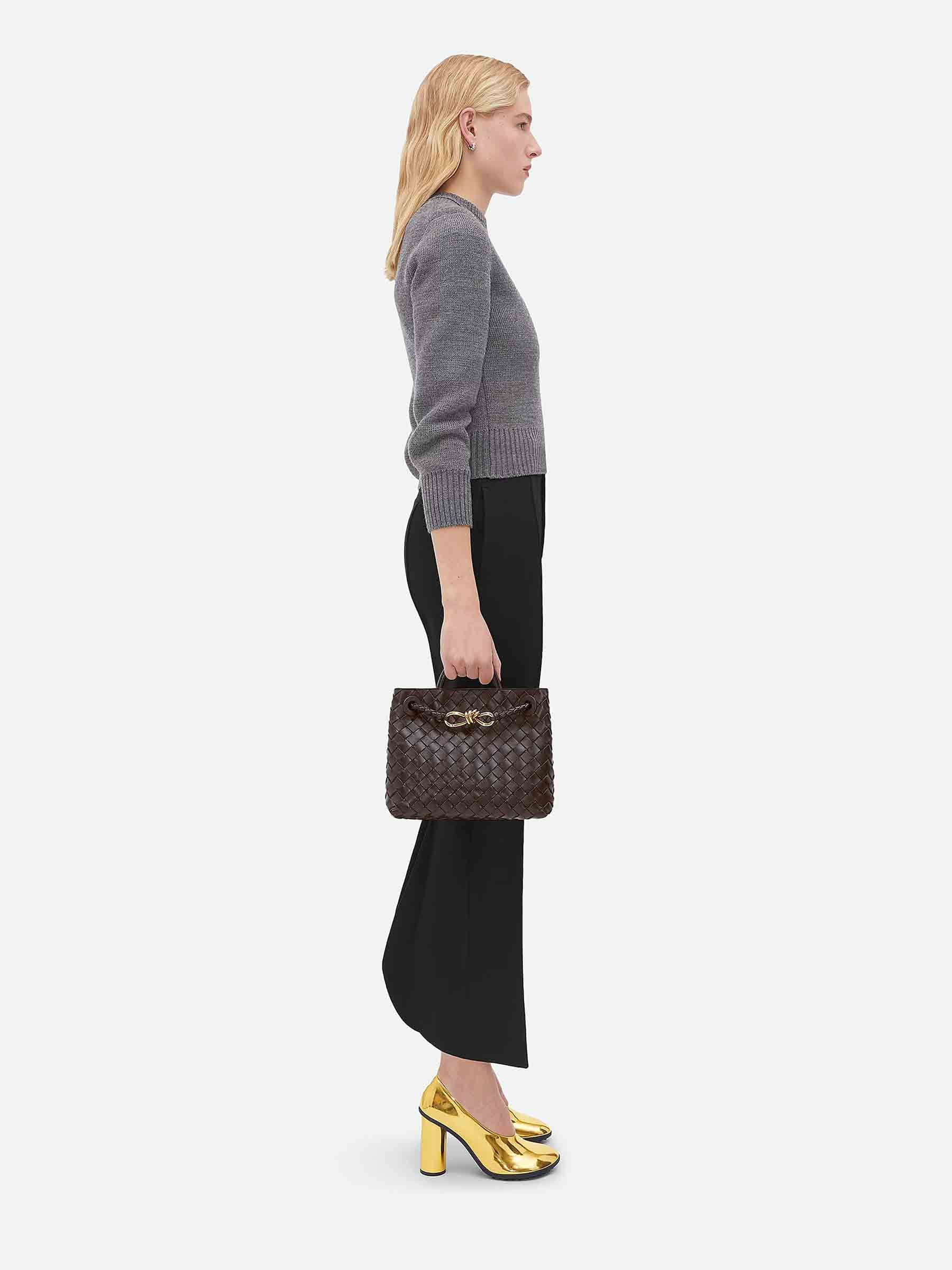 Small Andiamo Bag Bottega veneta – Гарантія оригінальності – вид ззаду